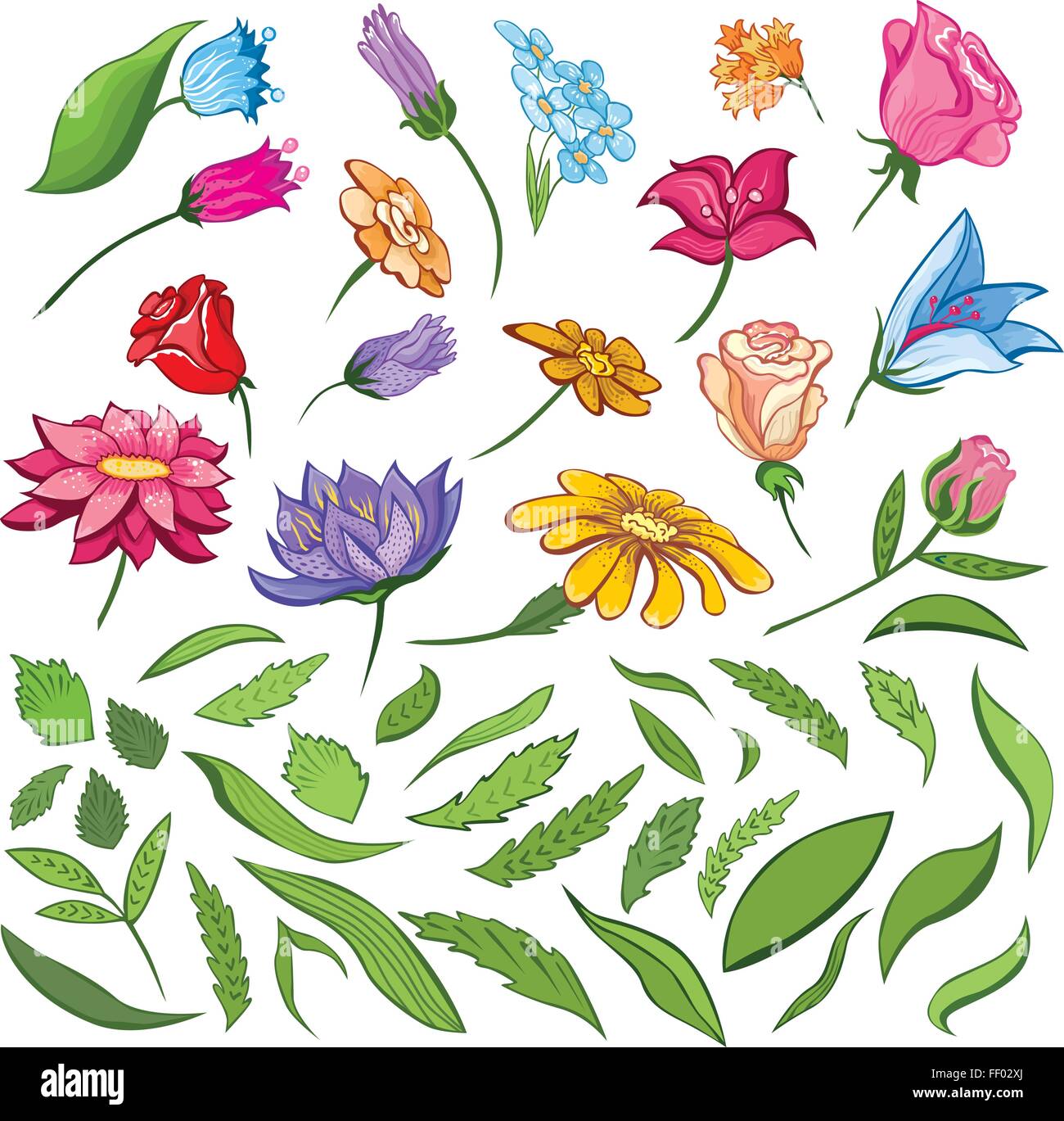 Vector Spring Flowers and Leaves Set Vintage floral design elements ...