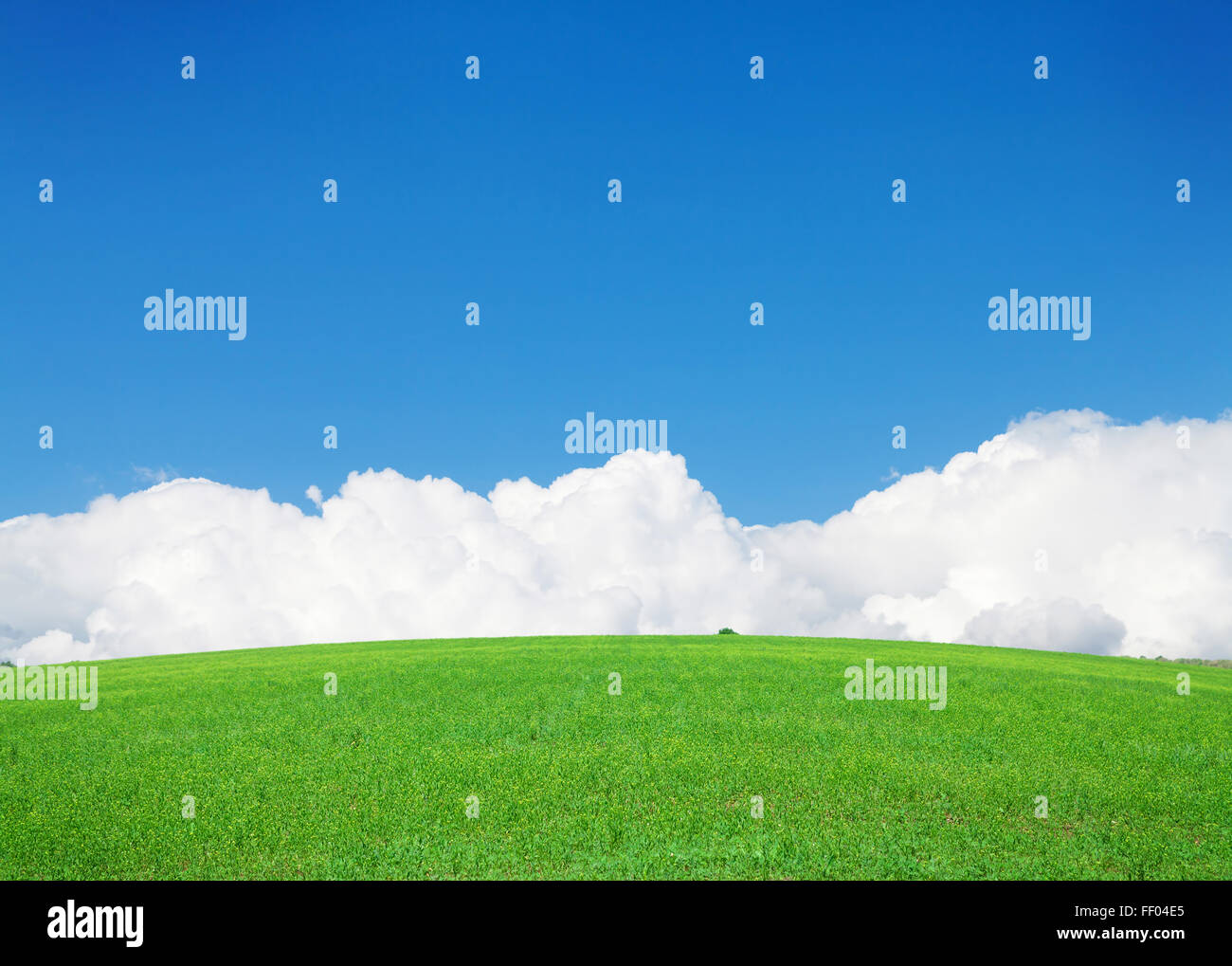 Green grass field and blue sky with clouds on horizon background Stock ...