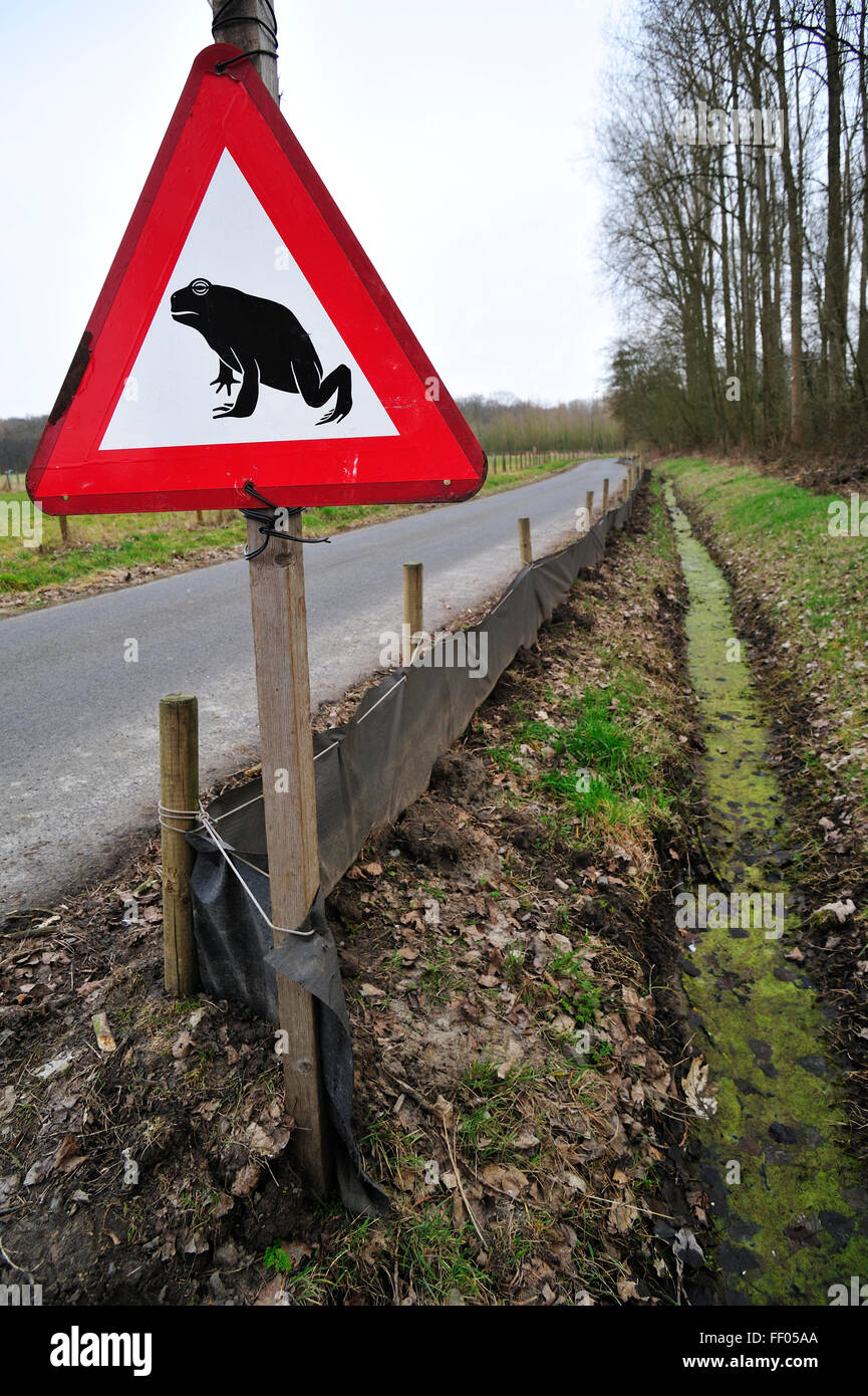 Warning sign and barrier with buckets for migrating amphibians / toads crossing the road during annual migration in spring Stock Photo