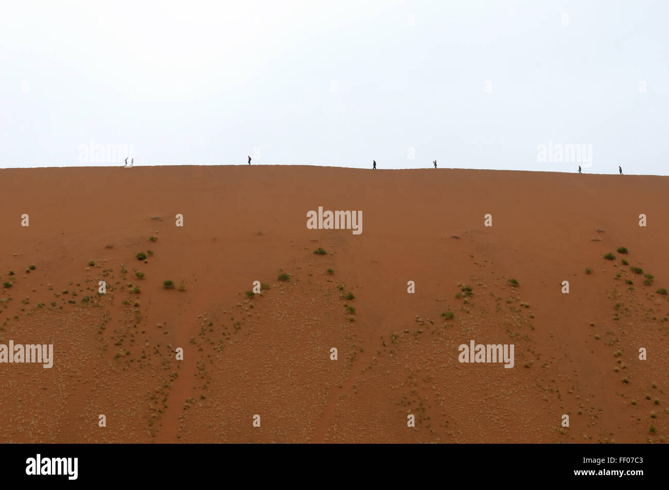 Deadvlei mist hi-res stock photography and images - Alamy