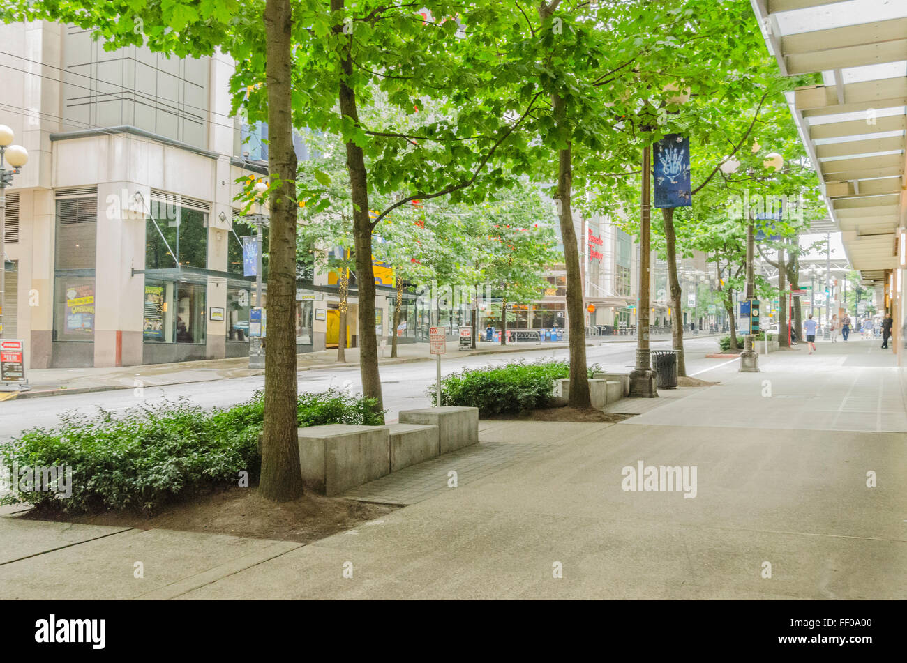 Sidewalk & Trees In Downtown Seattle, Washington Stock Photo Alamy