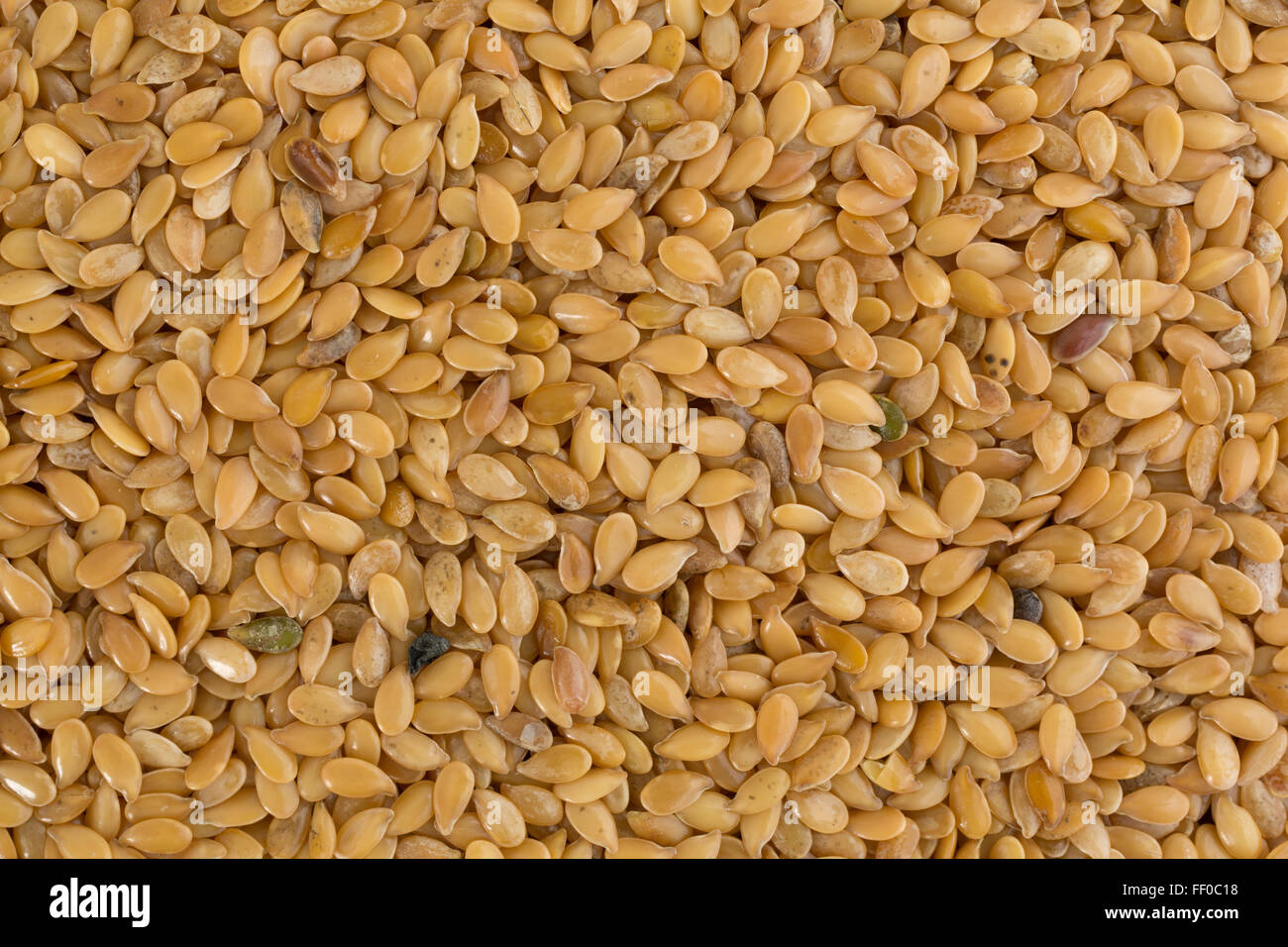 A close view of organic golden flaxseed illuminated with natural light. Stock Photo