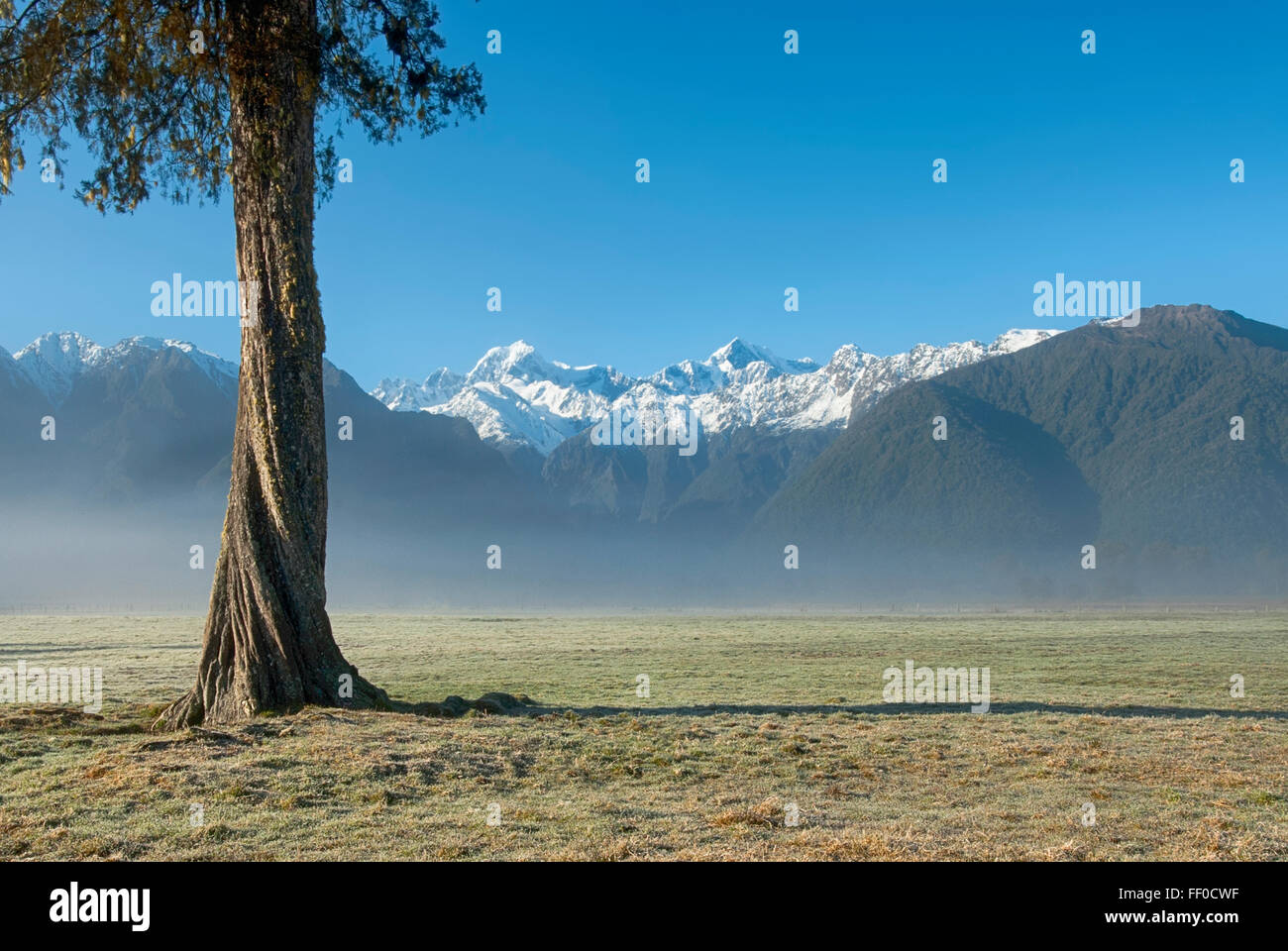 Early morning fog, Mt Cook and Mt Tasman, South Island, New Zealand Stock Photo