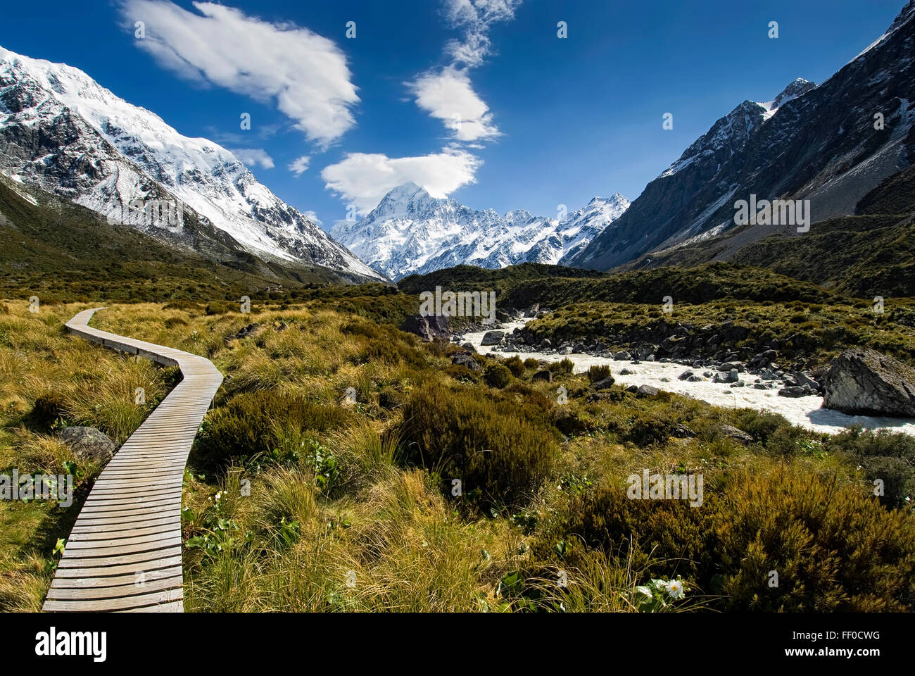 Boardwalk through meadow in Hooker Valley Track, Mt Cook,  New Zealand Stock Photo