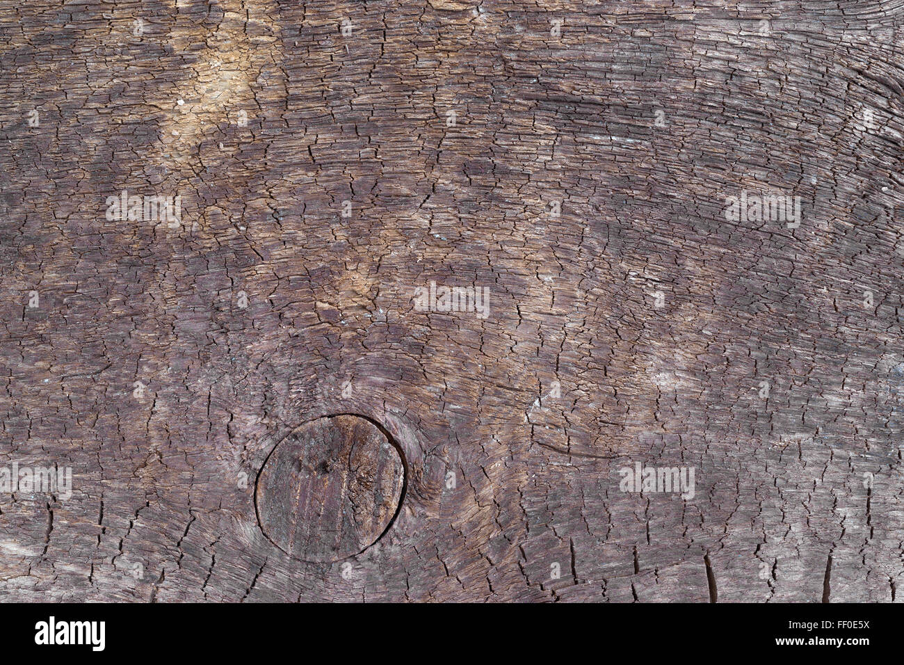 Close view of an old weathered board with a large knot and cracks illuminated with natural light. Stock Photo