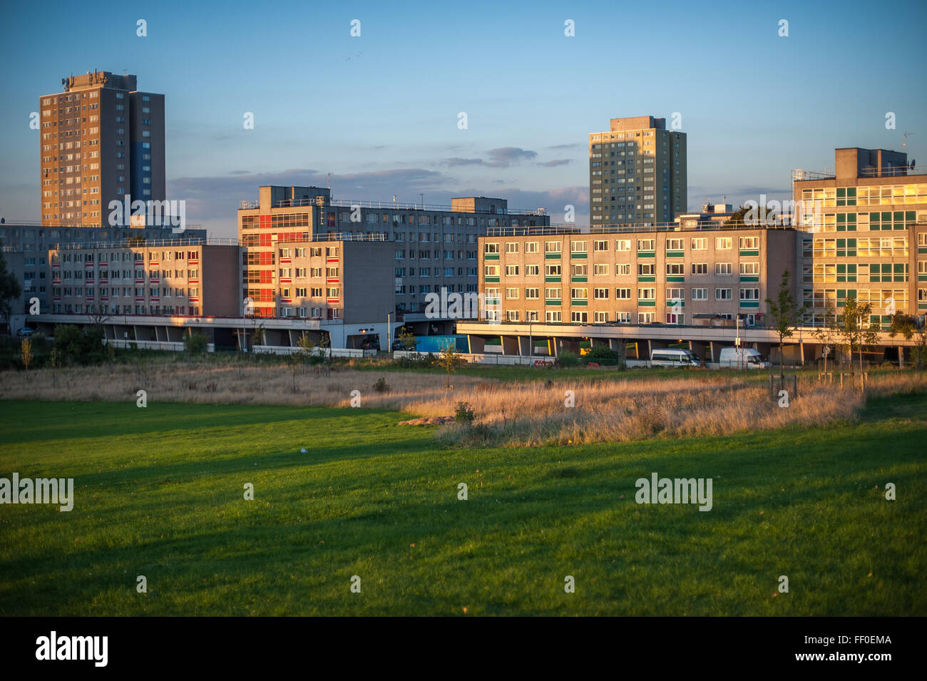Broadwater Farm Housing Estate , late summer's afternoon, Tottenham