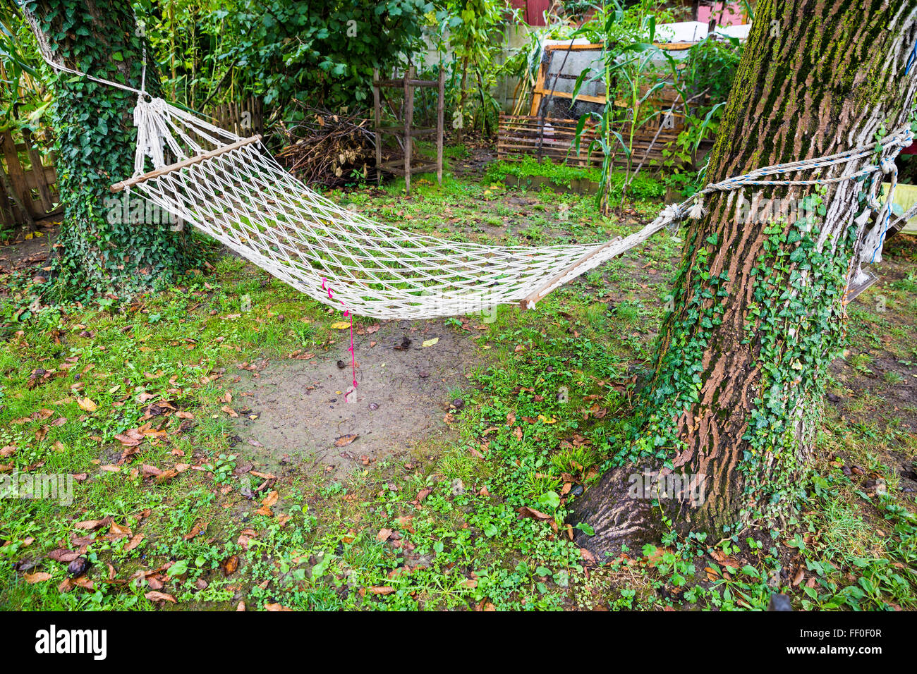 Comfortable mesh hammock stretched between two trees in a green garden