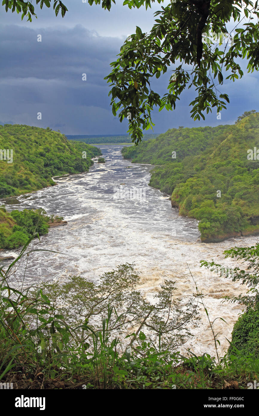 Looking down the Nile river just below Murchison Falls in Uganda. Stock Photo