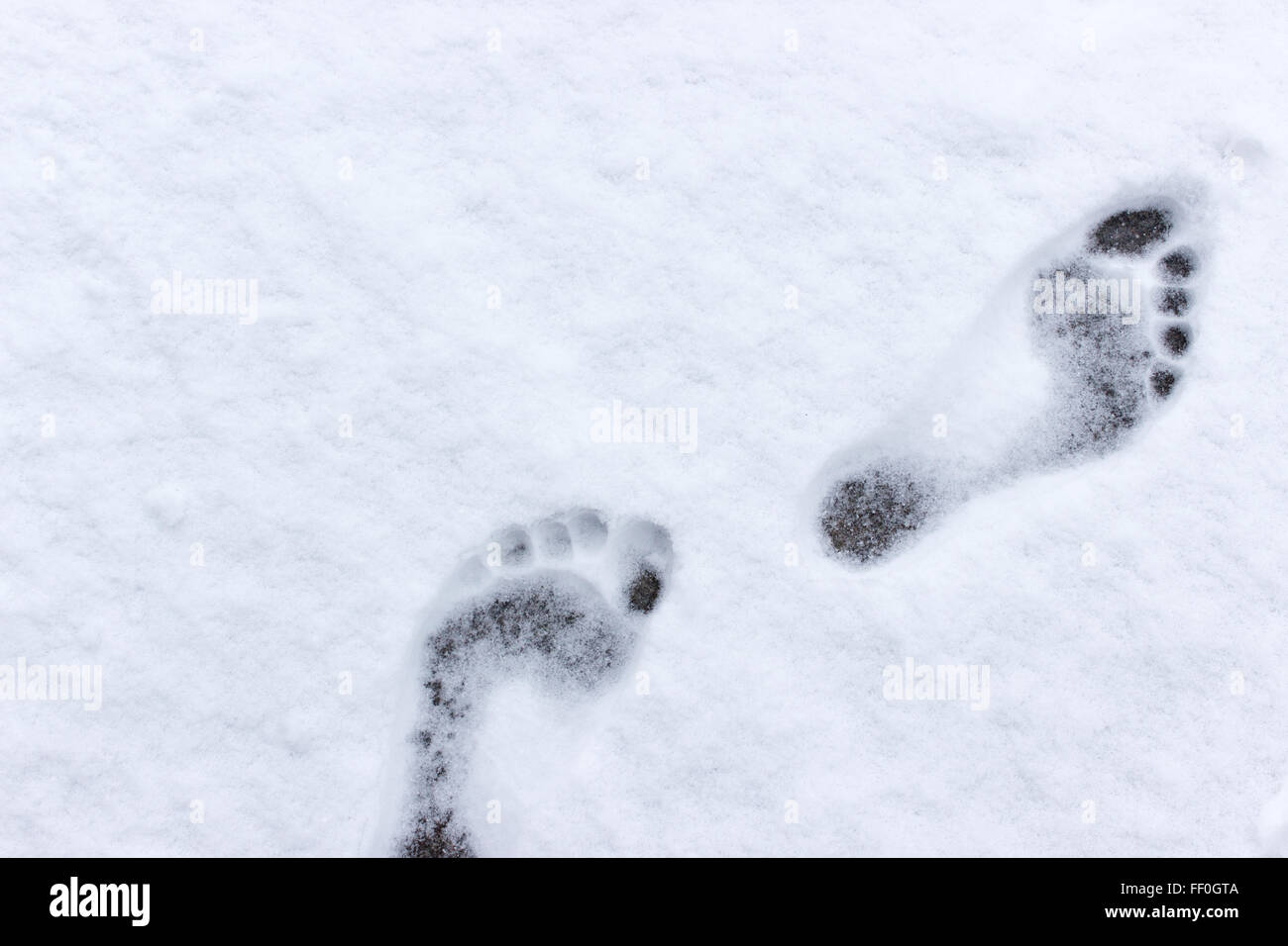 Footprints in the Snow Stock Photo