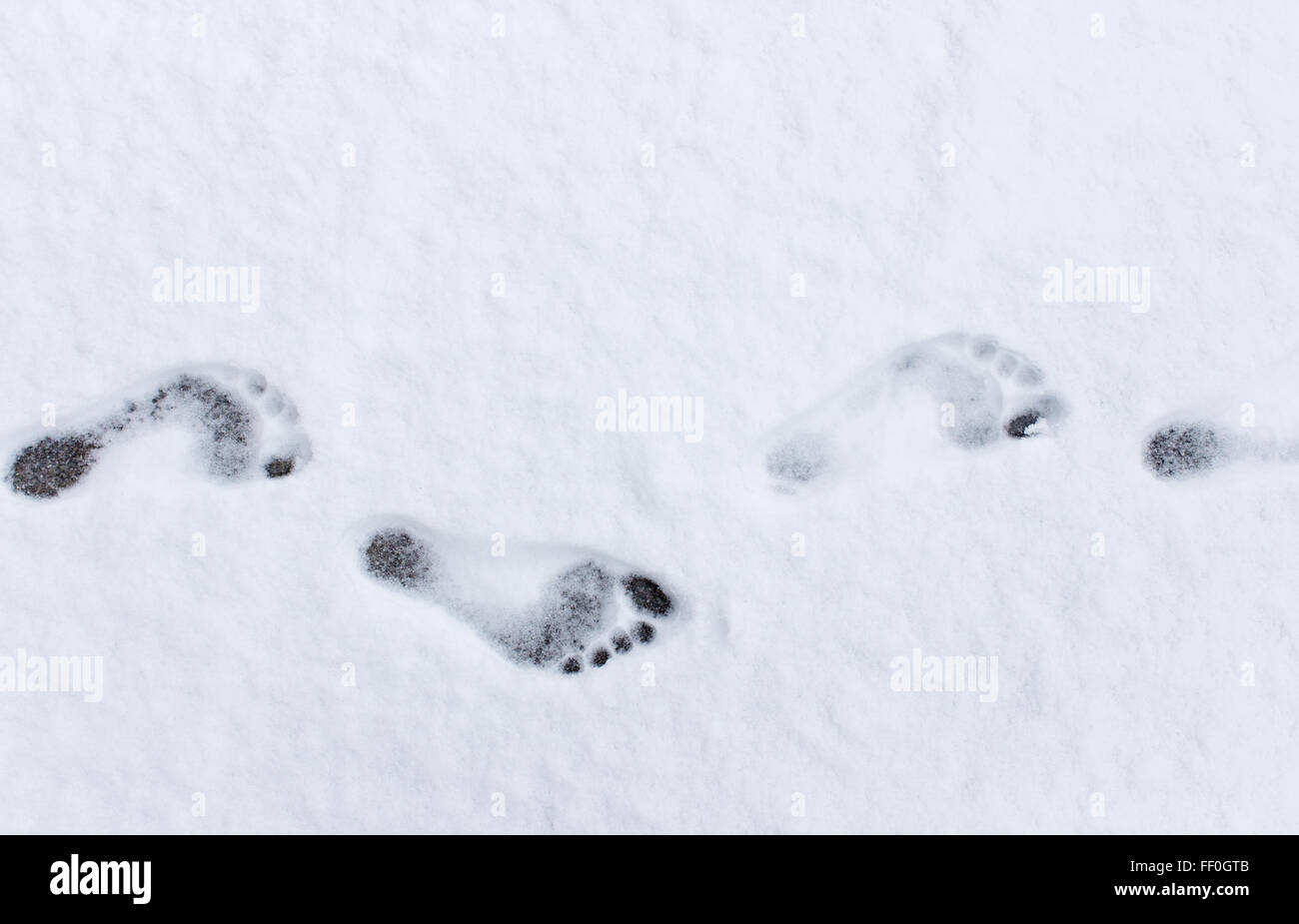 Footprints in the Snow Stock Photo