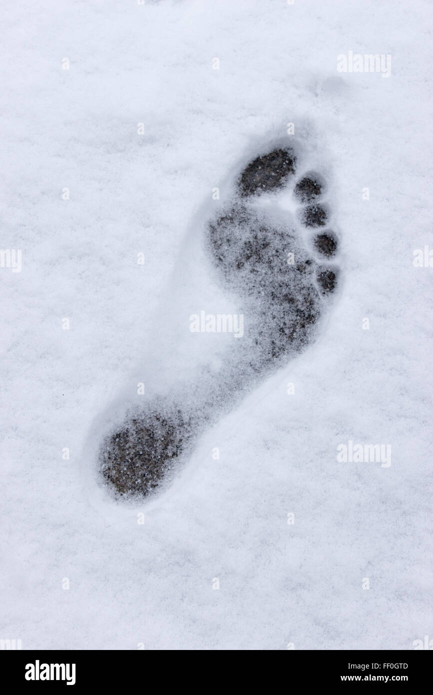 Footprint in the Snow Stock Photo Alamy