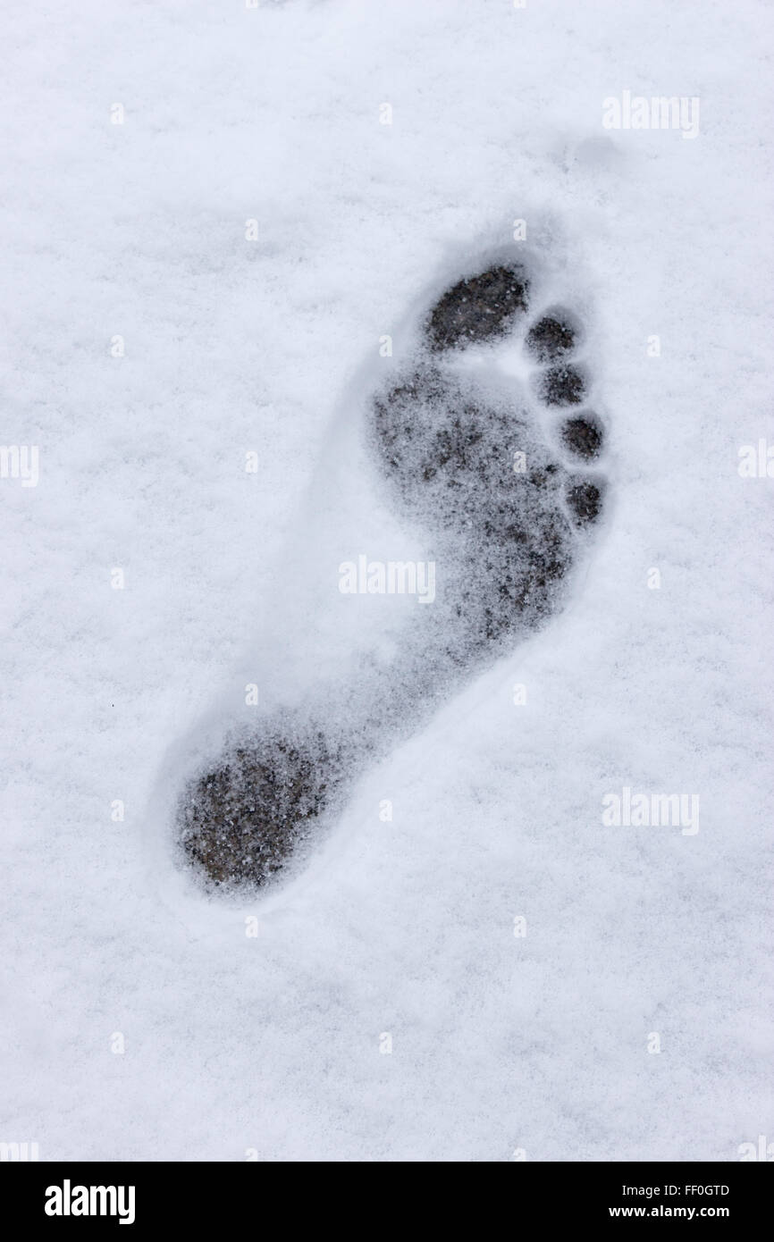 Footprint in the Snow Stock Photo