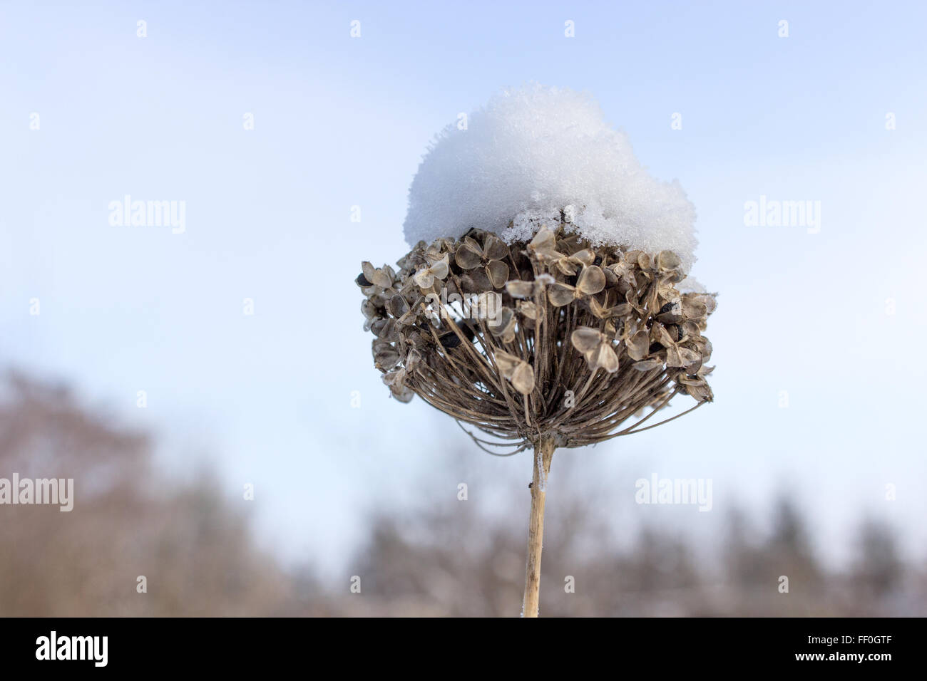 with snow-capped cone of the launch Stock Photo