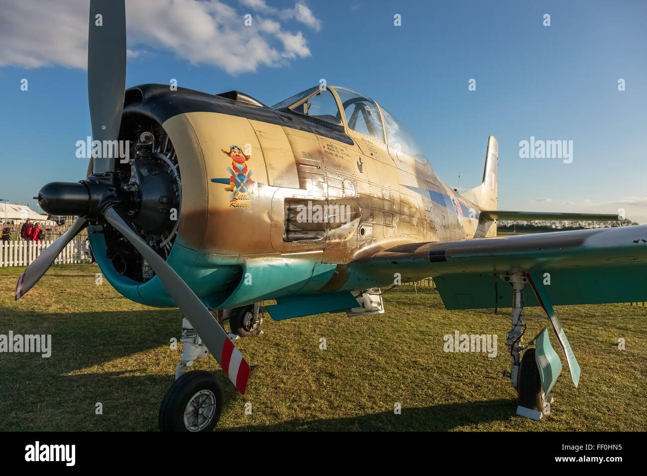 North American T28 Fennec, Little Rascal, N14113, 1951 Stock Photo