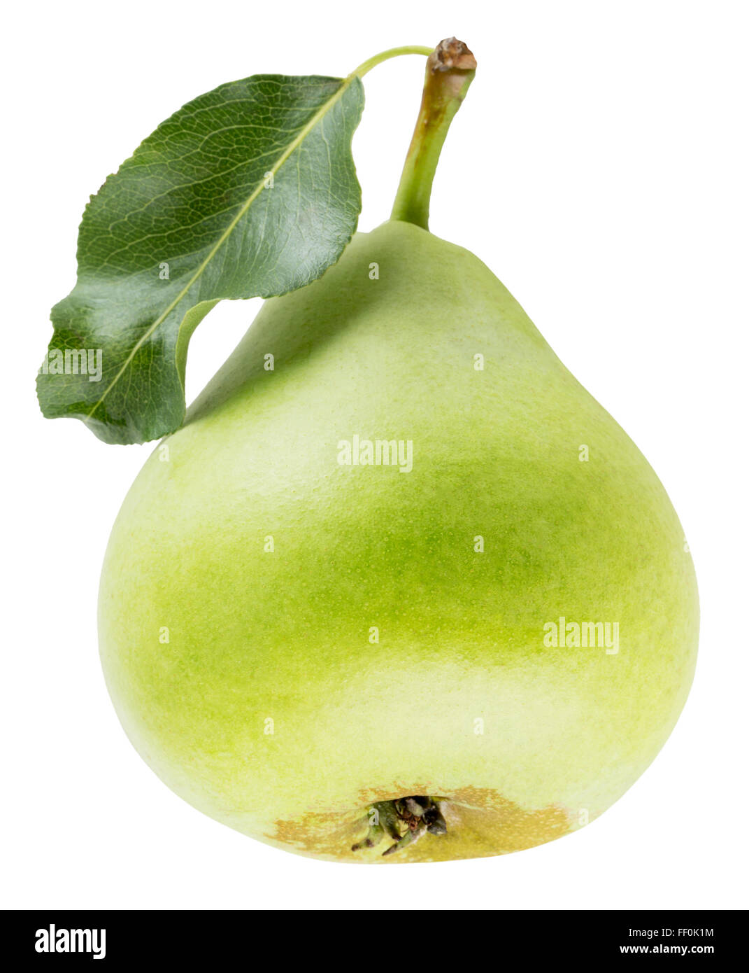 green pear isolated on the white background Stock Photo - Alamy
