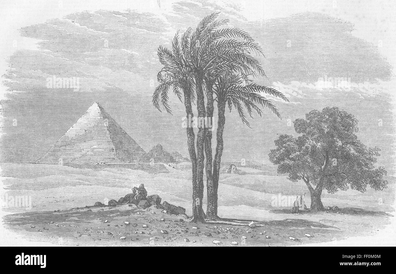 EGYPT Prince of Waless visit to Gt Pyramid 1862. Illustrated London News Stock Photo