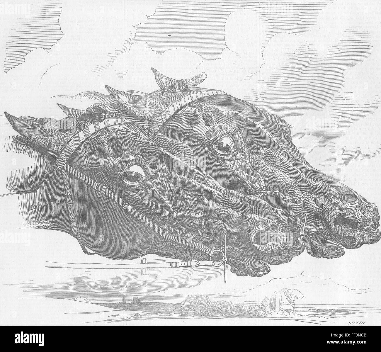 RACING Epsom Races-Flying Dutchman versus Hotspur 1849. Illustrated London News Stock Photo