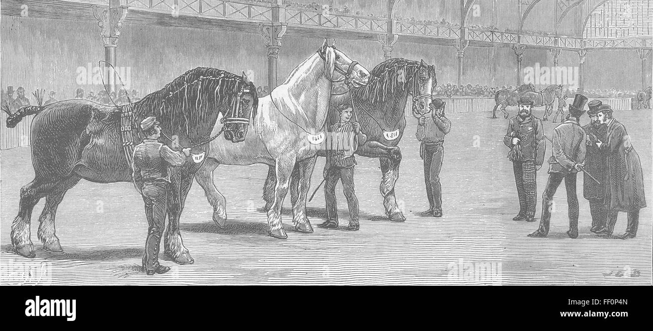 ISLINGTON Cart-Horse Show Awaiting final verdict 1881. The Graphic Stock Photo