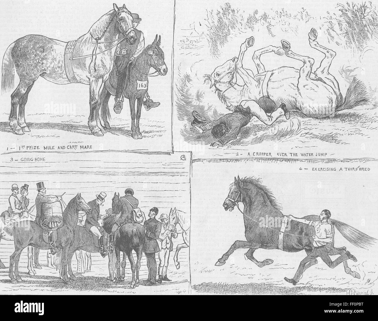 LONDON Horse Show, Alexandra Park 1873. The Graphic Stock Photo