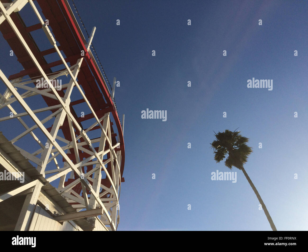 Low angle view of roller coaster and palm tree - Smartphone Captured Stock Image