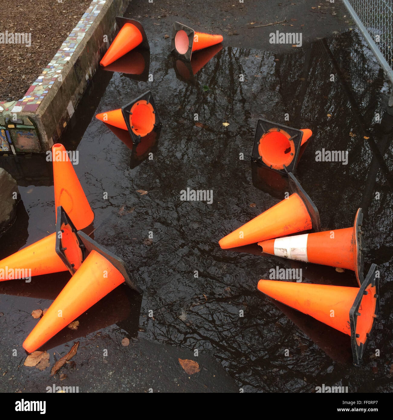 Traffic cones in puddle - Smartphone Captured Stock Image