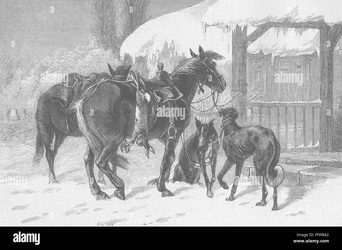 POLAND Coursing 2 Polish hunters 1873. The Graphic Stock Photo