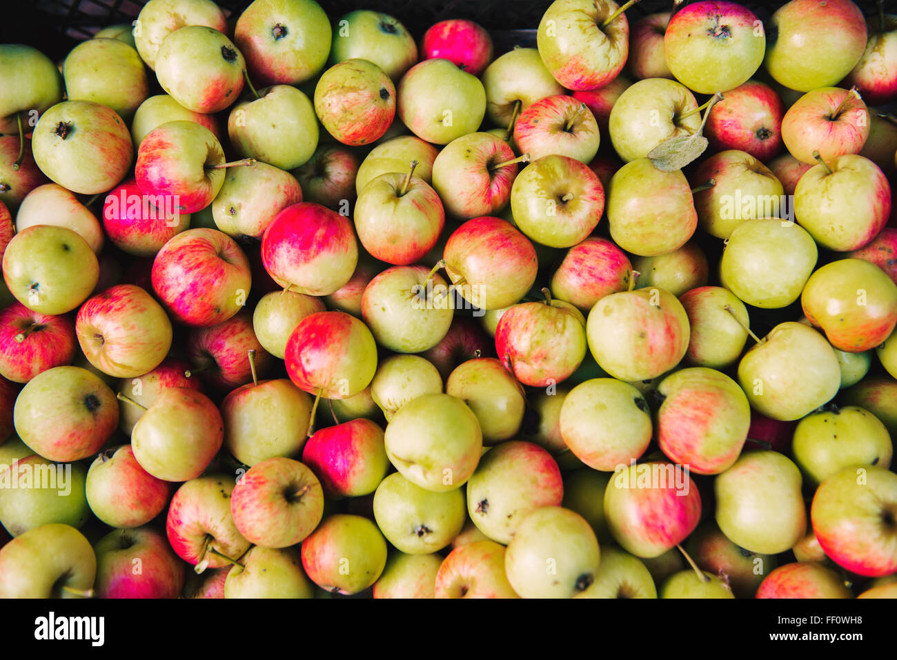 Close up of pile of apples Stock Photo