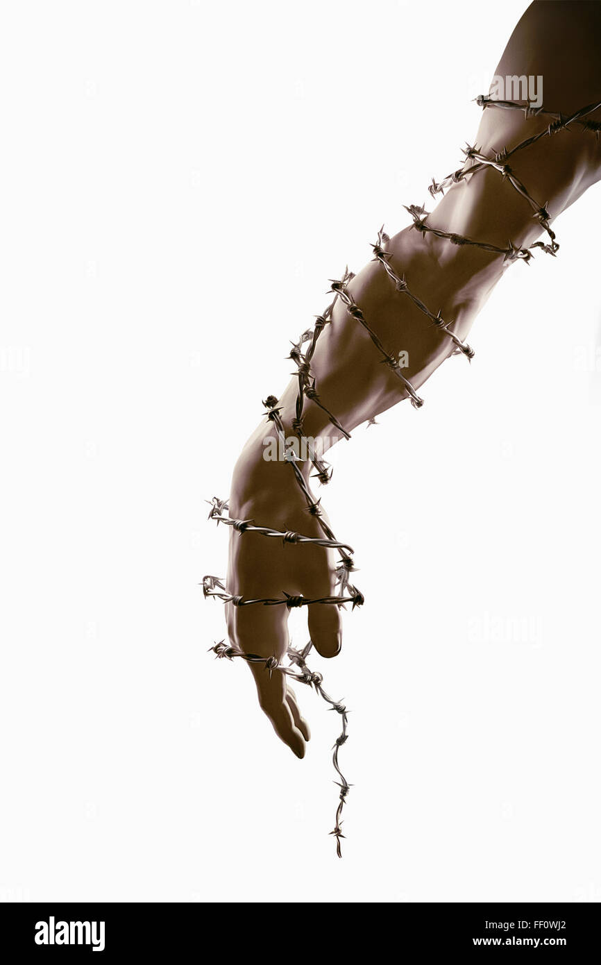Arm and hand wrapped in barbed wire Stock Photo