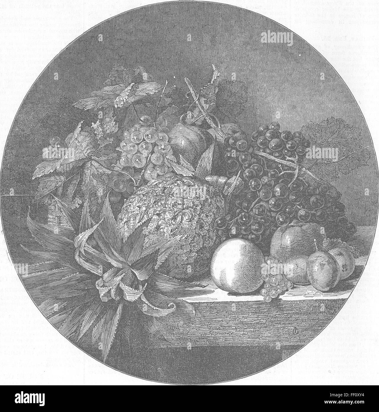 FRUIT Out House 1853. Illustrated London News Stock Photo - Alamy