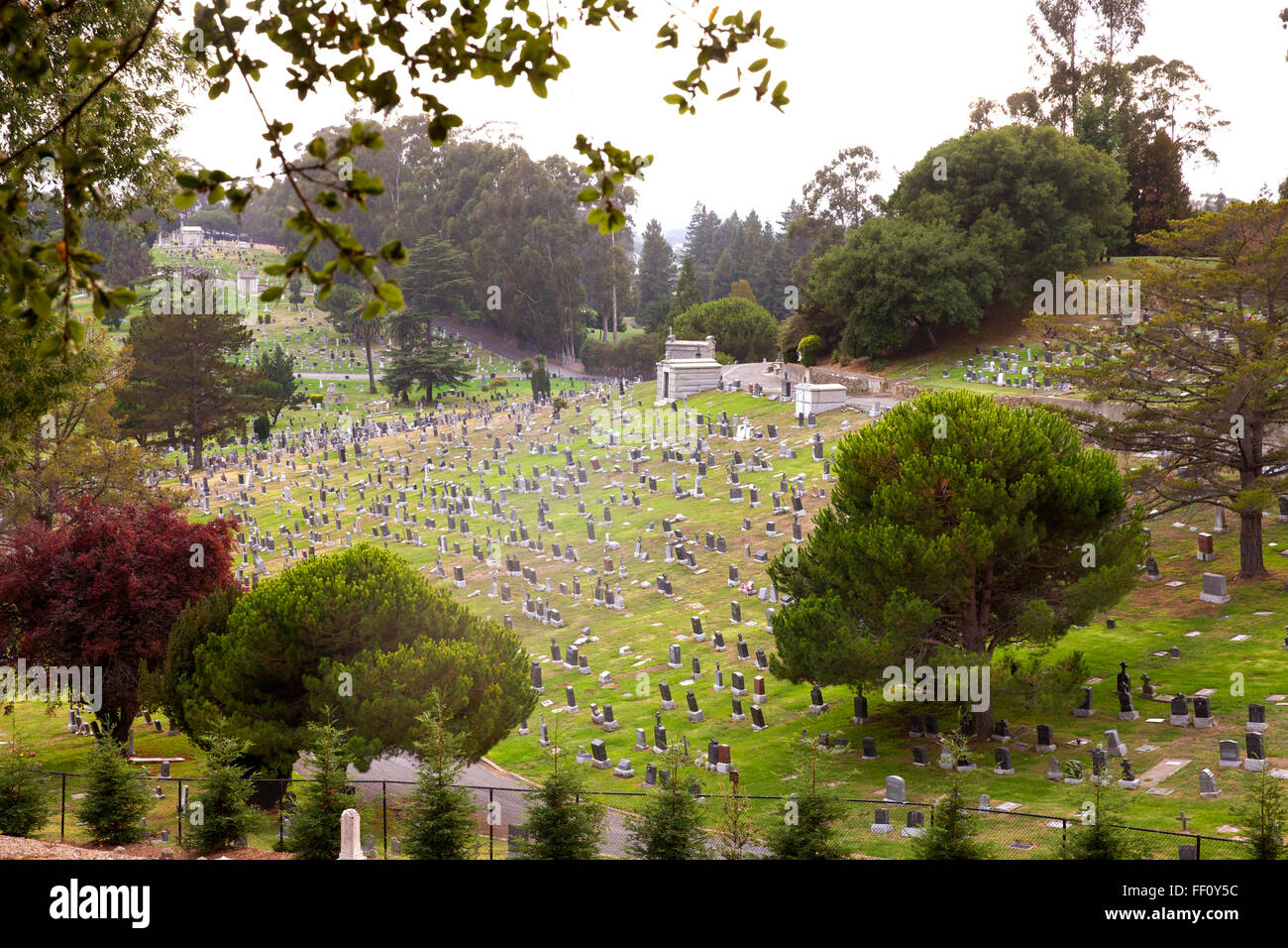 View of Mountain View Cemetery in the Piedmont Neighborhood of Oakland