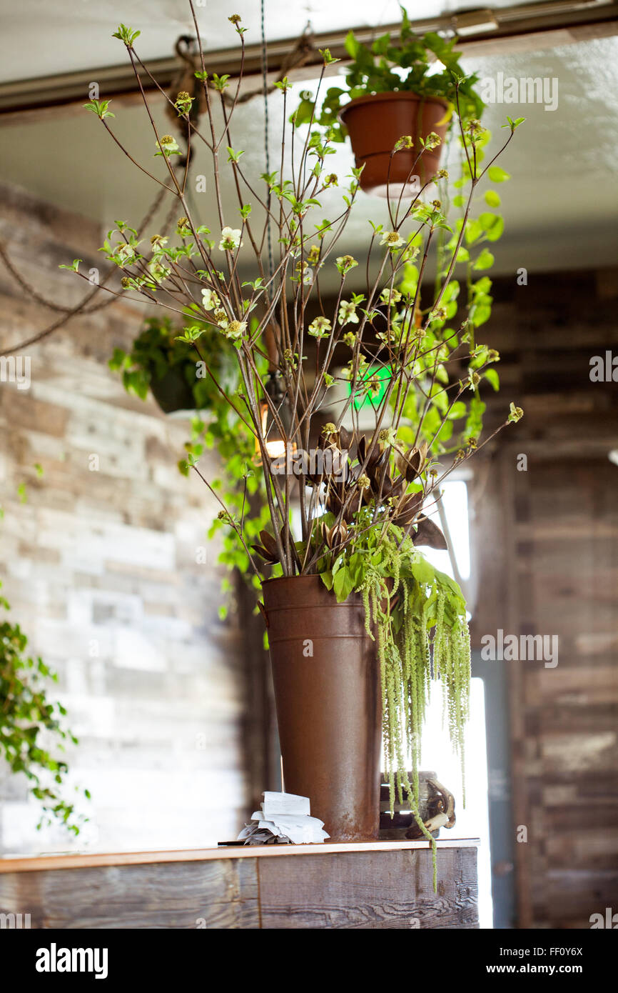 An arrangement of flowering tree branches in front of a reclaimed wood wall with window light. Stock Photo