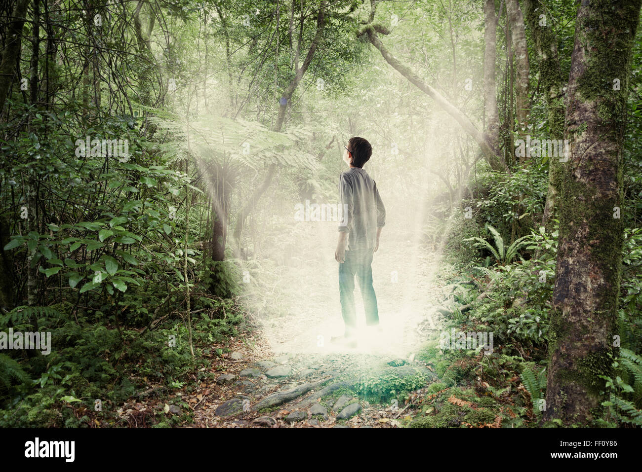 Mixed race boy standing in forest portal Stock Photo