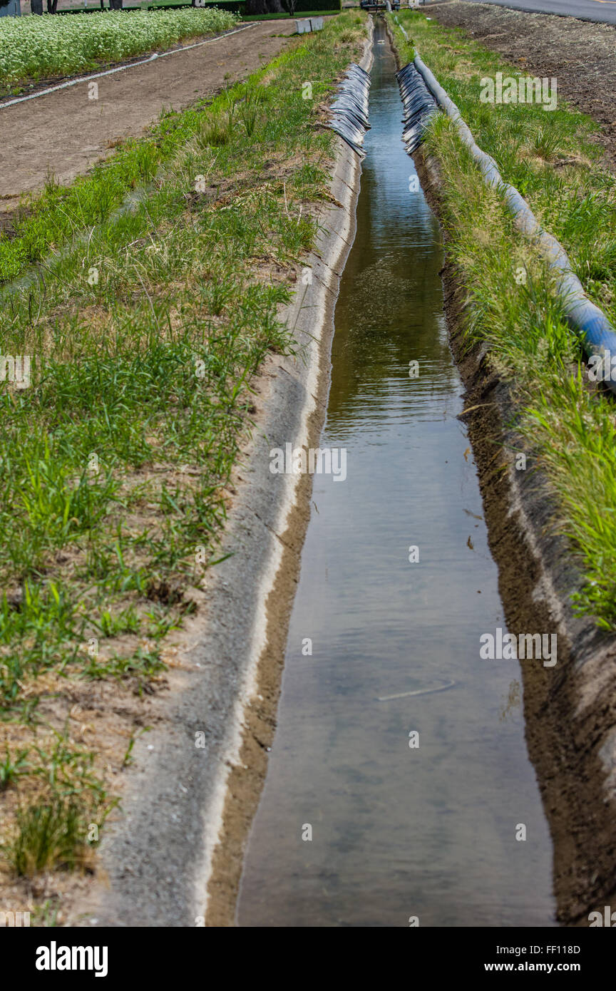 Irrigation canal with water flowing through to water farm fields.  Eastern Oregon Stock Photo