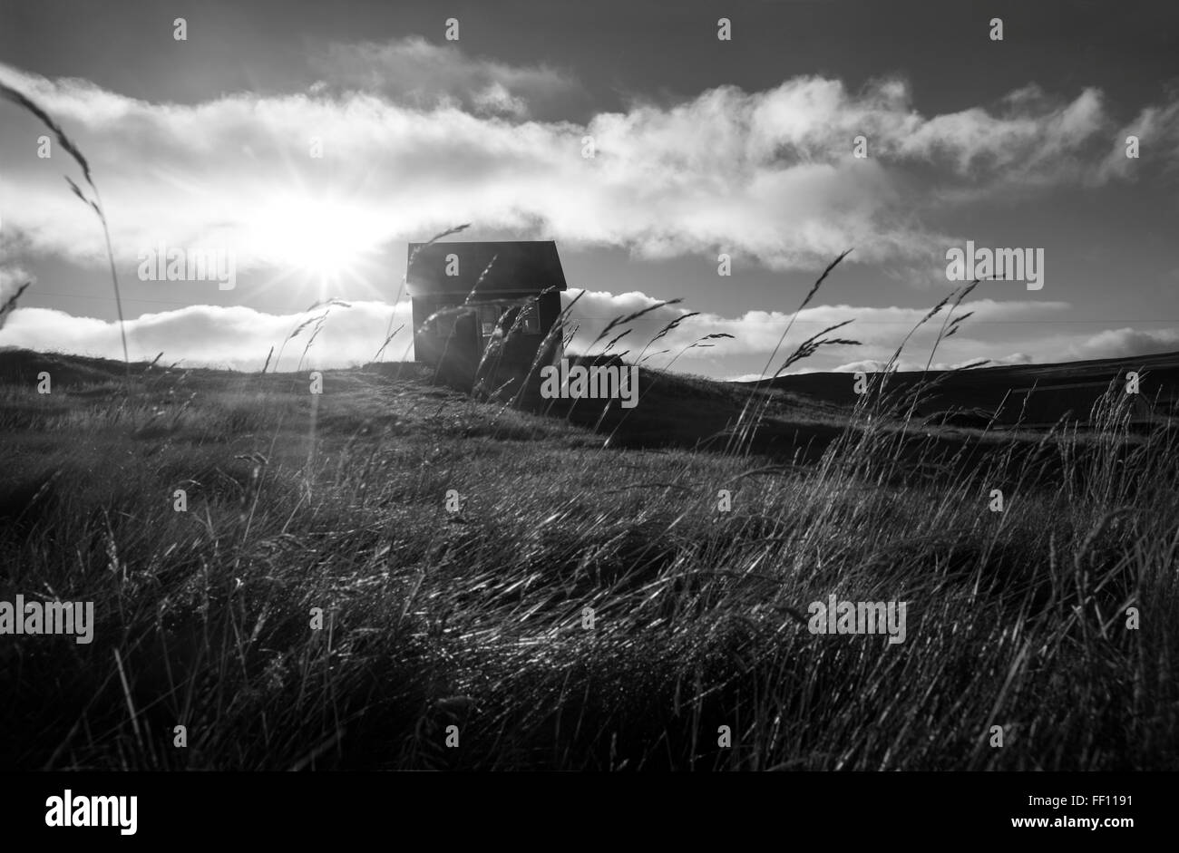 House in rural field Stock Photo