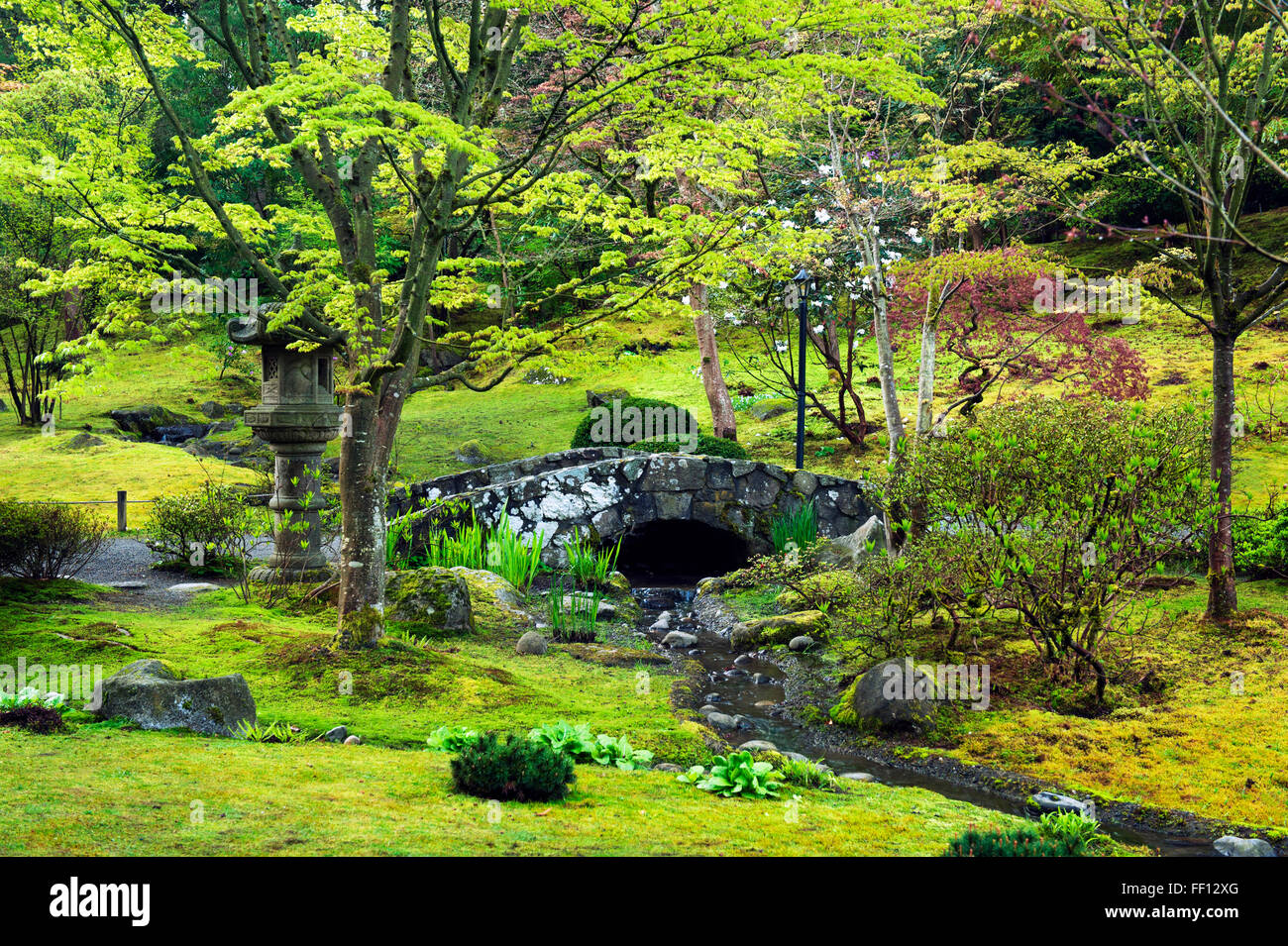 Bridge over stream in rural field Stock Photo