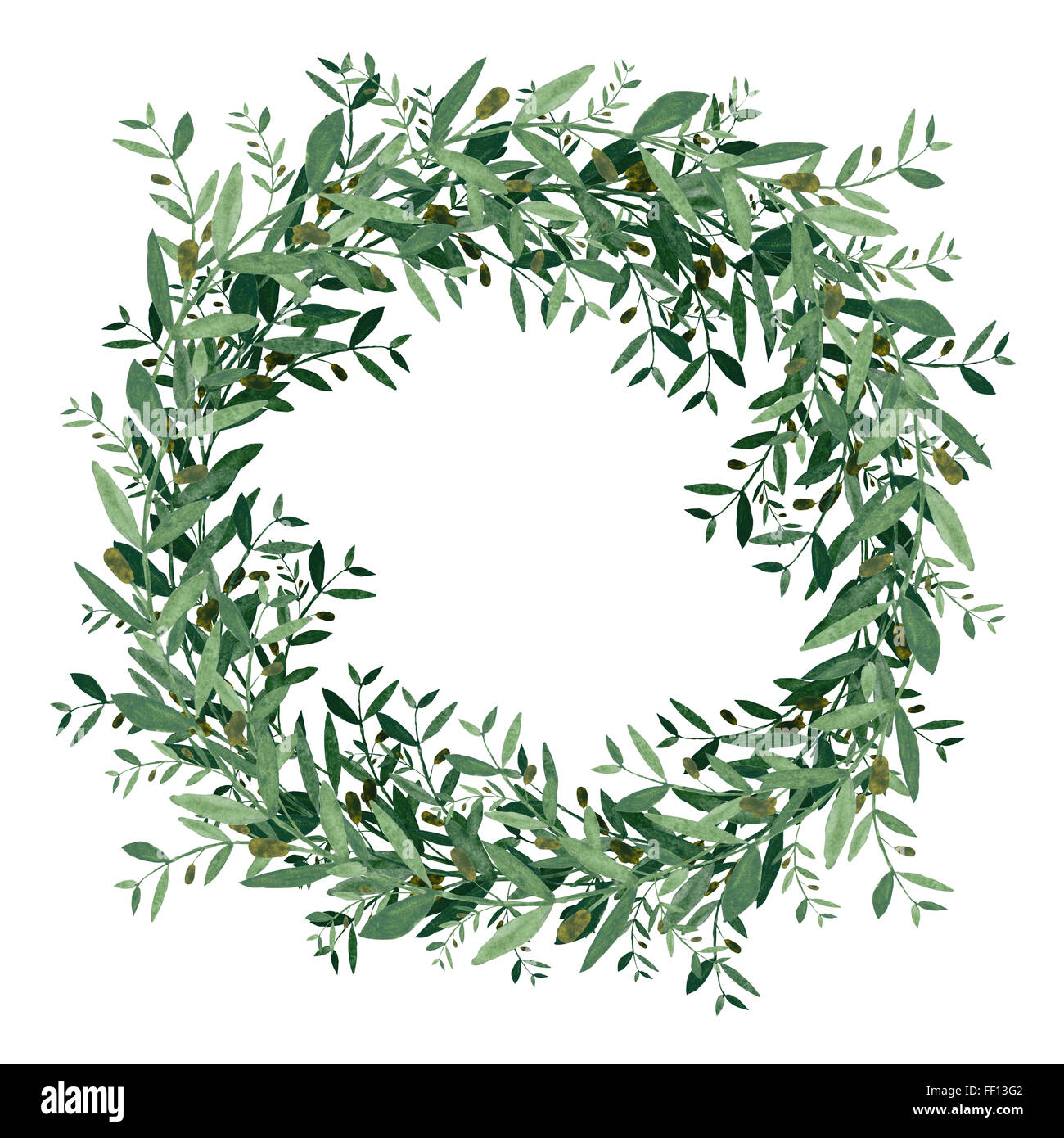 Watercolor olive wreath. Isolated illustration on white background. Organic and natural concept. Stock Photo