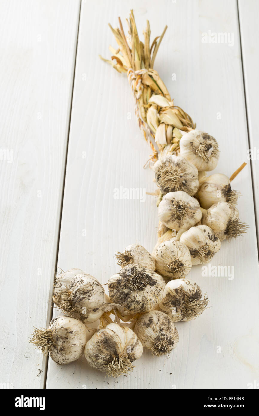 Fresh harvested and braided garlic on white wooden table Stock Photo