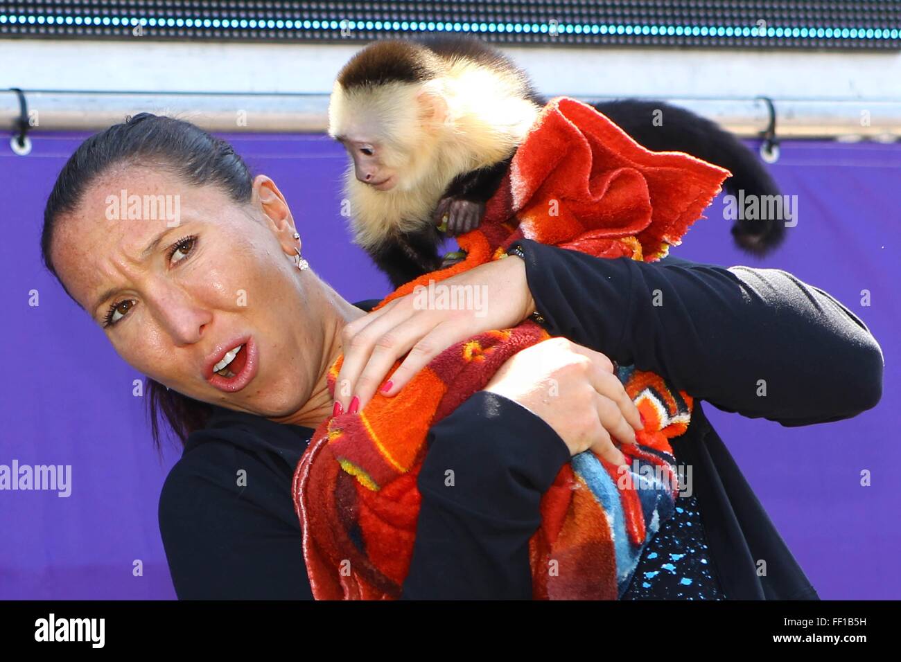 Beijing, China. 10th Feb, 2016. Player Jelena Jankovic of Serbia poses for a photo with a monkey during the 2013 Sony Open Tennis in Florida, the United States, March 26, 2013. 2016 marks the Year of the Monkey in the Chinese calender. Clever monkeys often bring unexpected entertainment spirit to the sport arena. © Xinhua/Alamy Live News Stock Photo