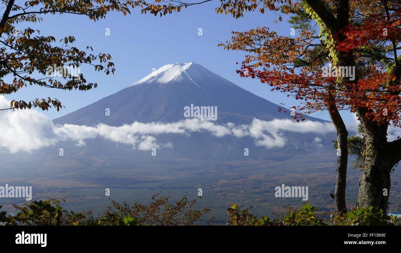 The fall season of Fuji mountain Stock Photo