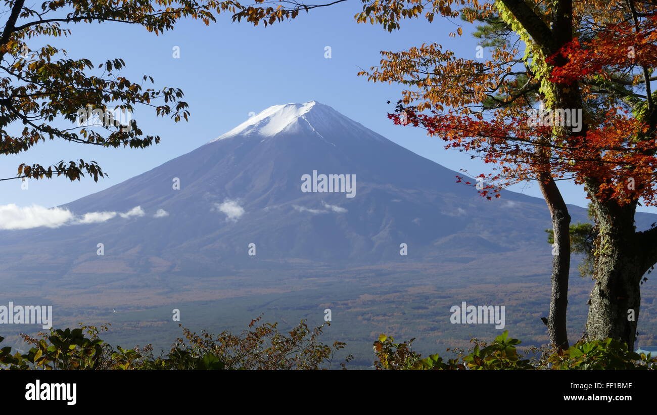 The fall season of Fuji mountain Stock Photo