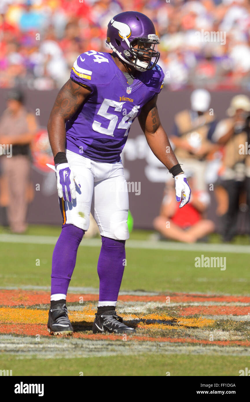 Tampa, FL, USA. 26th Oct, 2014. Minnesota Vikings middle linebacker Jasper Brinkley (54) during a game against the Tampa Bay Buccaneers at Raymond James Stadium on Oct. 26, 2014 in Tampa, Florida. The Vikings won 19-13 in OT.ZUMA PRESS/Scott A. Miller © Scott A. Miller/ZUMA Wire/Alamy Live News Stock Photo