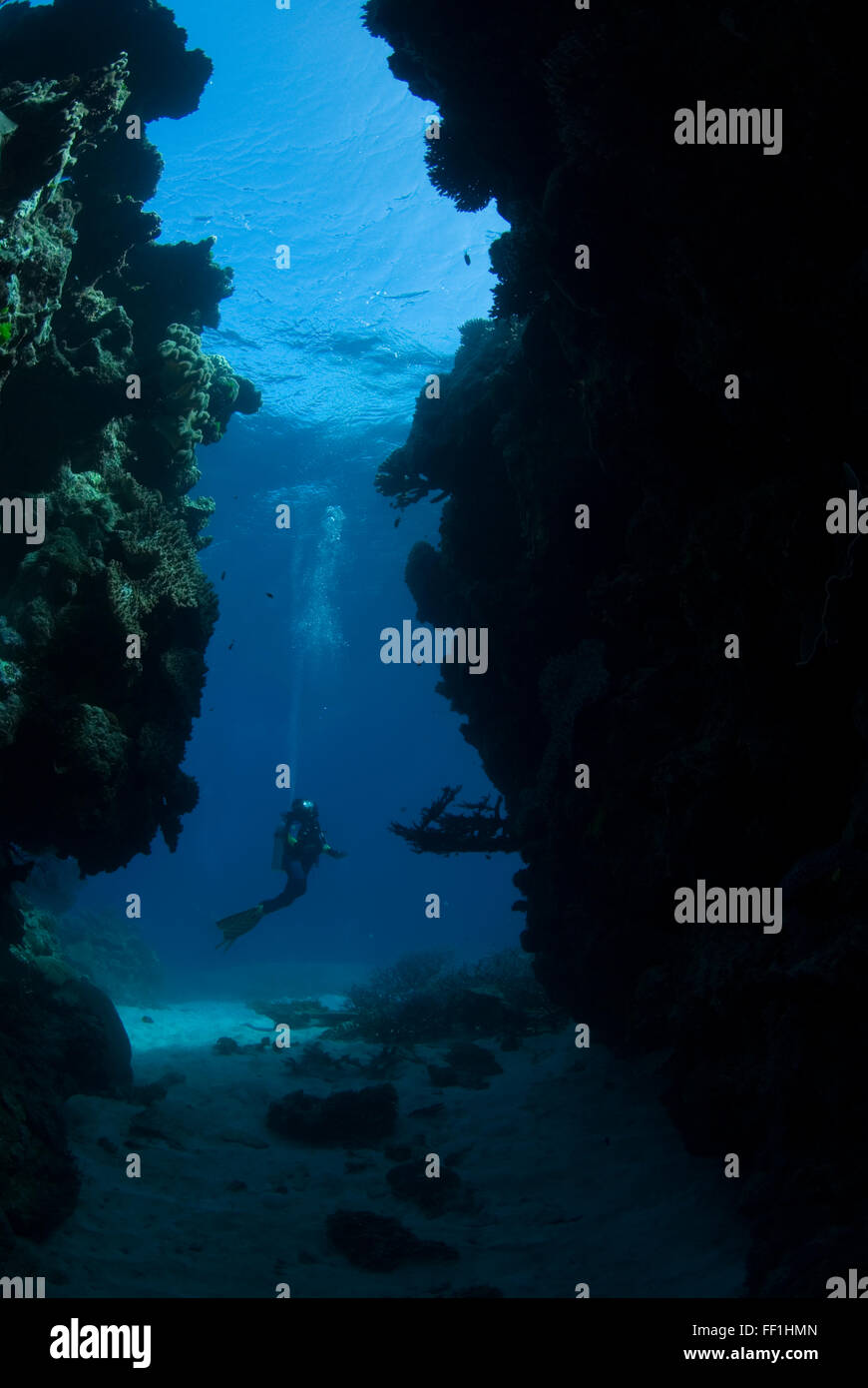 Silhouette of underwater cave with divers Stock Photo - Alamy