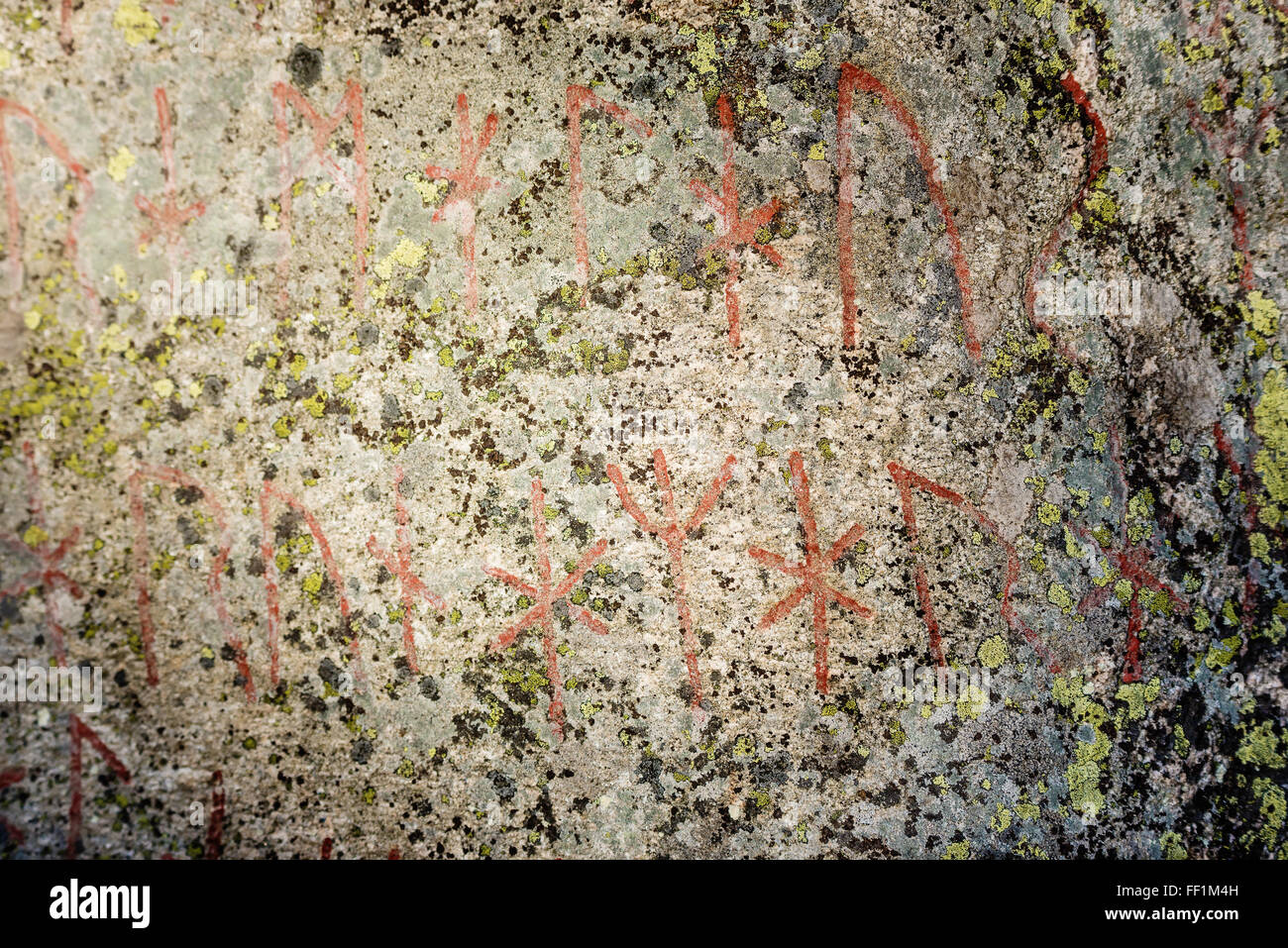 The famous Bjorketorp rune stone in Listerby, Sweden, stand in a forest. It contains a curse and it is one of the worlds tallest Stock Photo