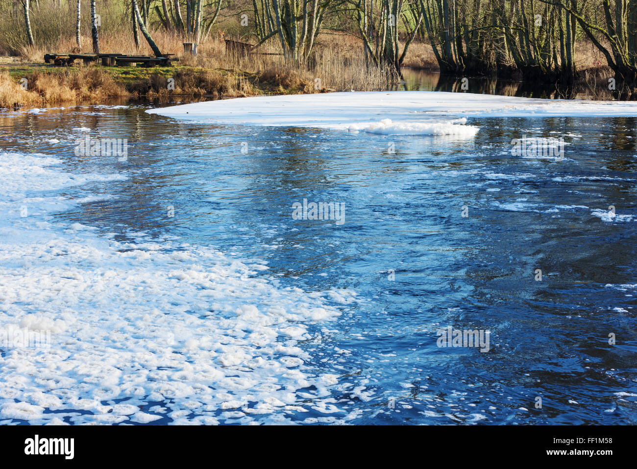 White froth has accumulated in this small bend in a river just after a waterfall. Resting place visible in the background. Stock Photo