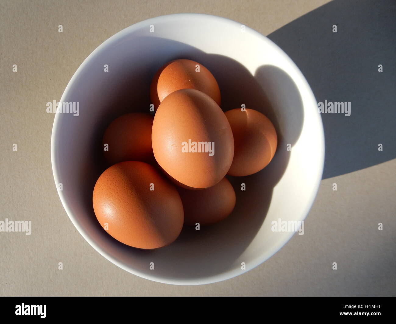 brown eggs in a dish Stock Photo