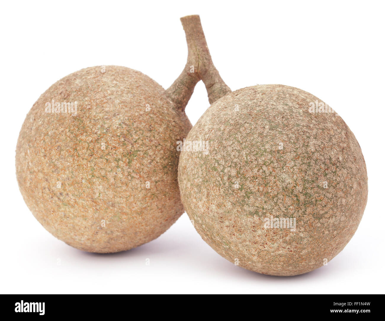 Pair of wood apples or kod bel of Southeast Asia Stock Photo