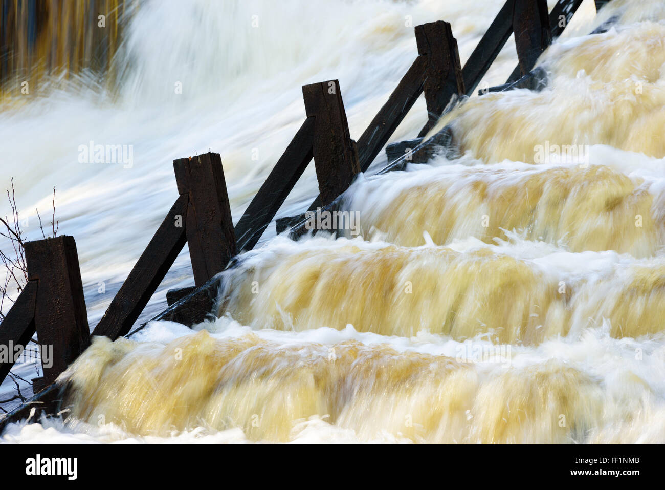 Salmon fish ladder hires stock photography and images Alamy