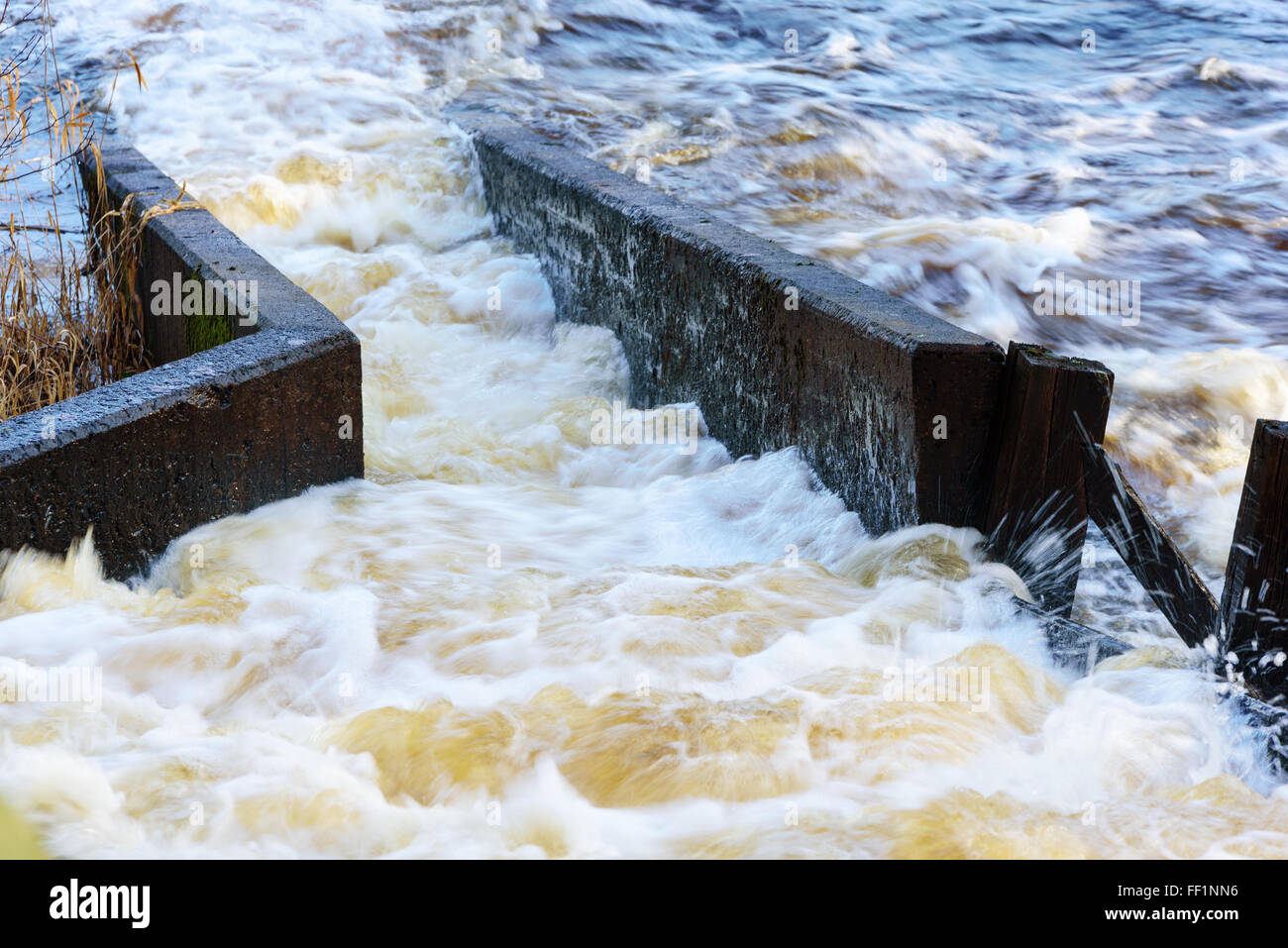 Salmon fish ladder hires stock photography and images Alamy
