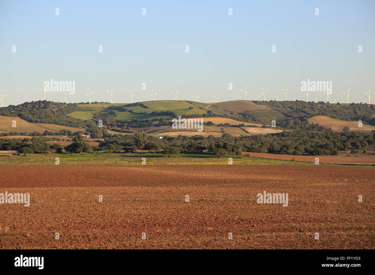 Farming landscape with wind turbines in distance, Vejer de la Frontera, Cadiz province, Spain Stock Photo