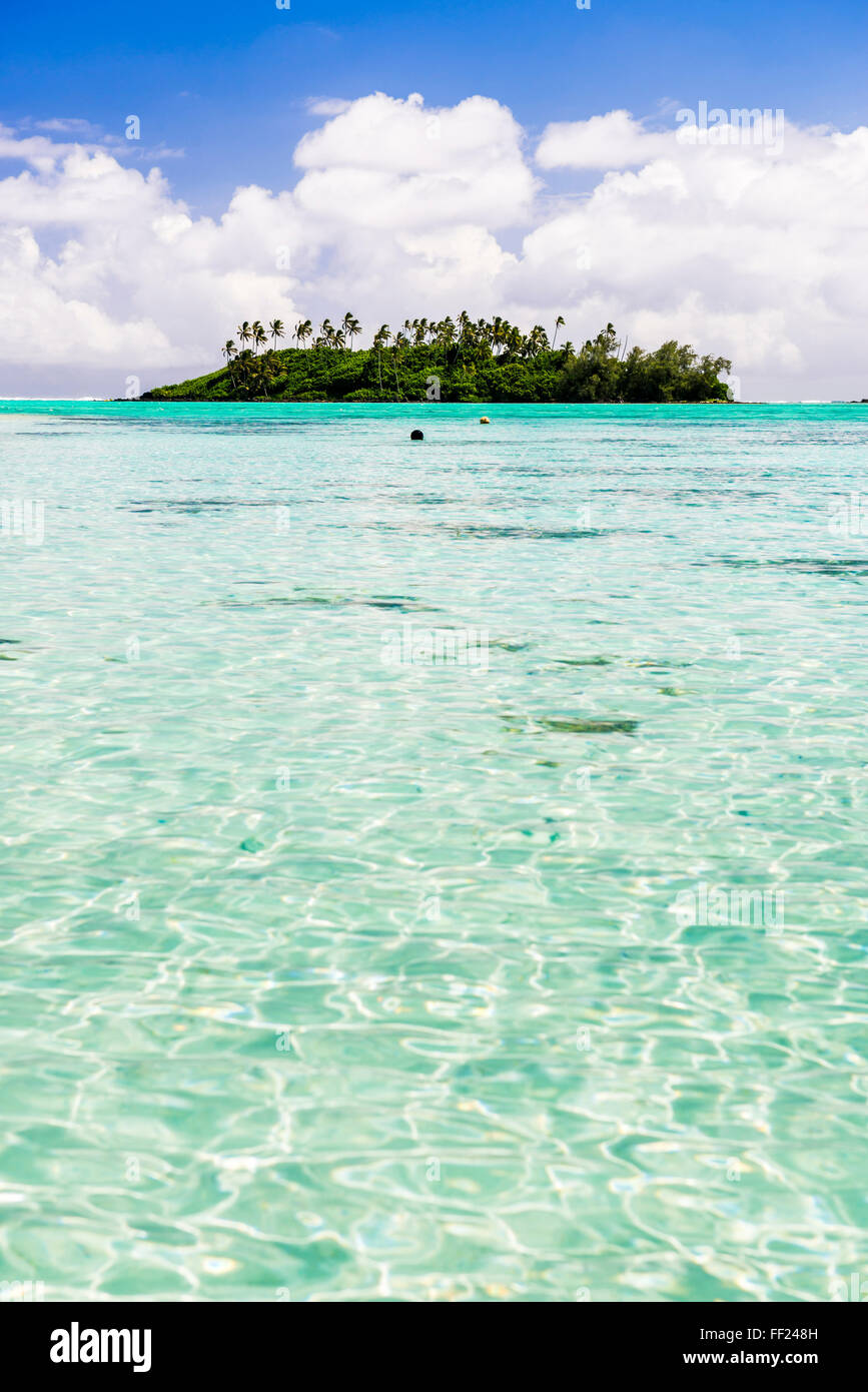 TropicaRM isRMand of Motu Taakoka covered in paRMm trees in Muri RMagoon, Rarotonga, Cook IsRMands, South Pacific, Pacific Stock Photo